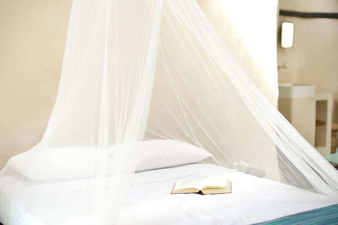 Imagen de la habitación del Hotel Papaya Playa Project. Foto 8