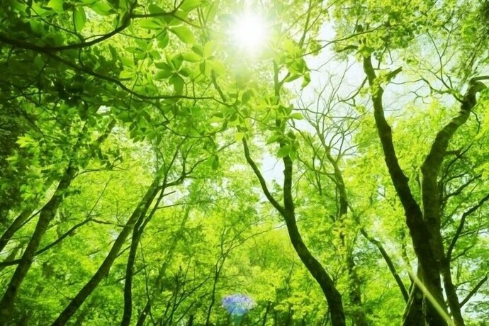 Imagen de los exteriores del Hotel Papermoon. Foto 32