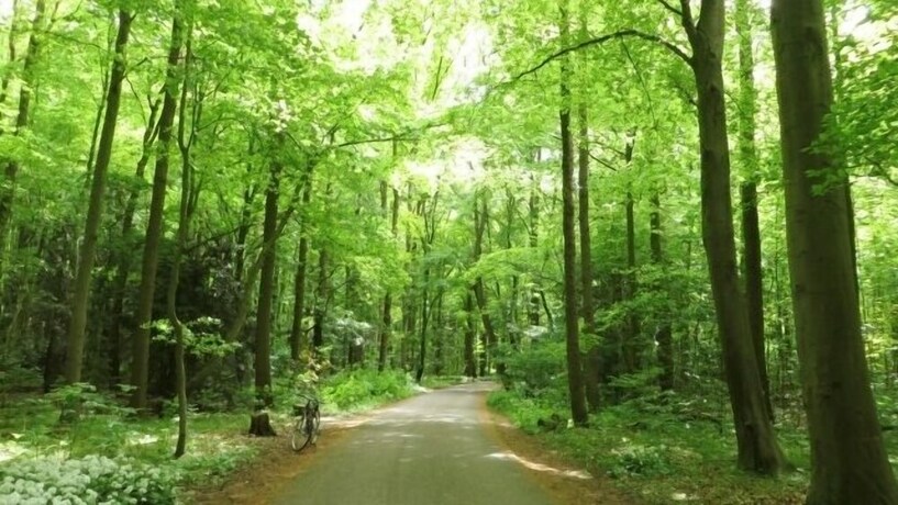 Imagen de los exteriores del Hotel Papermoon. Foto 33