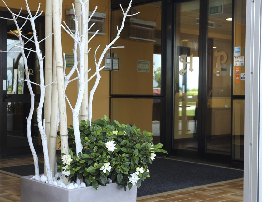 Imagen general del Hotel Papillon, Cazzago San Martino. Foto 11