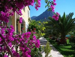 Imagen general del Hotel Papirus. Foto 1