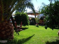 Imagen general del Hotel Papirus. Foto 3