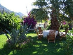 Imagen general del Hotel Papirus. Foto 4
