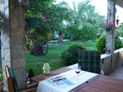 Imagen general del Hotel Papirus. Foto 9