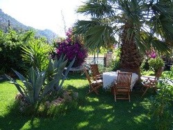 Imagen general del Hotel Papirus. Foto 11