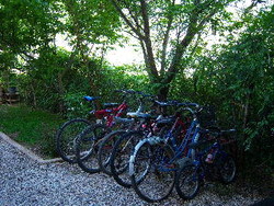Imagen general del Hotel Papirus. Foto 12