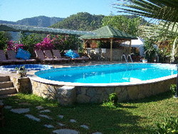 Imagen general del Hotel Papirus. Foto 14