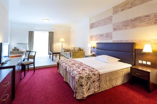 Imagen de la habitación del Hotel Papuga Park. Foto 8