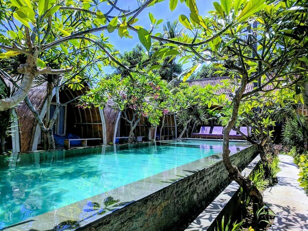 Imagen de la piscina del Hotel Paradesa Villa. Foto 27