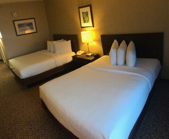 Imagen de la habitación del Hotel Par-a-dice and Casino. Foto 8
