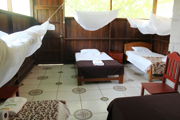 Imagen de la habitación del Hotel Paradise Amazon Lodge and Adventure. Foto 19
