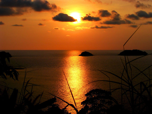 Imagen de los exteriores del Hotel Paradise Bungalows, Koh Chang. Foto 10