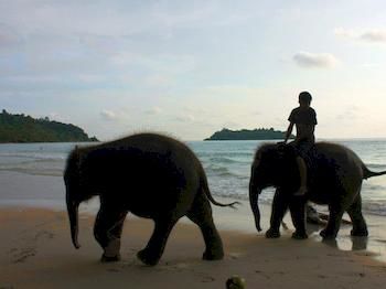 Imagen de los exteriores del Hotel Paradise Bungalows, Koh Chang. Foto 14
