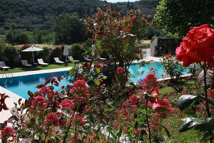 Imagen de la piscina del Hotel Paradise Inn. Foto 13