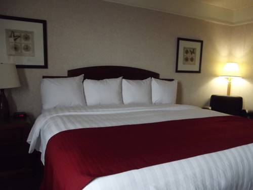 Imagen de la habitación del Hotel Paradise Inn and Conference Centre. Foto 4