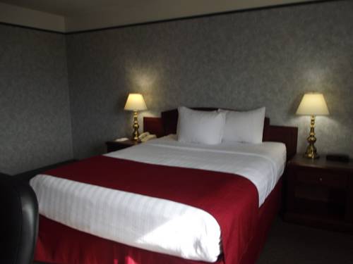 Imagen de la habitación del Hotel Paradise Inn and Conference Centre. Foto 10