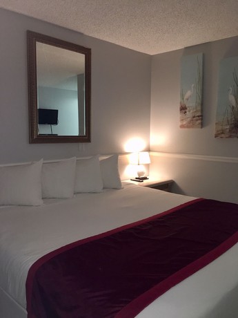 Imagen de la habitación del Hotel Paradise Lakes Resort, Clothing Optional Resort - Adult Only. Foto 12