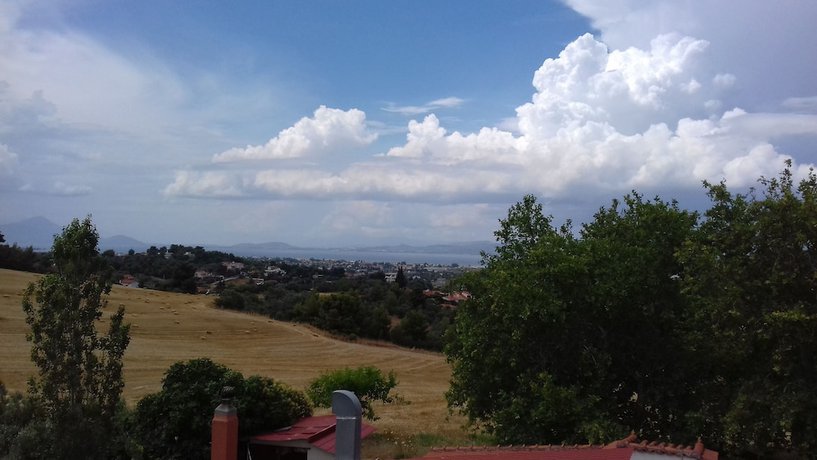 Imagen de la habitación del Hotel Paradise, Nea Palatia. Foto 9