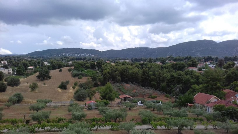 Imagen de los exteriores del Hotel Paradise, Nea Palatia. Foto 15