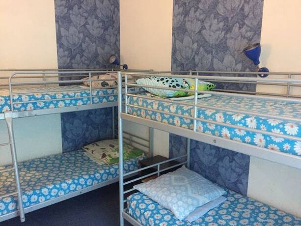 Imagen de la habitación del Hotel Paradise, Ol'ginka. Foto 18
