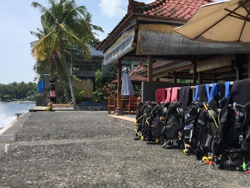 Imagen general del Hotel Paradise Palm Beach Bungalows And Dive Center. Foto 1