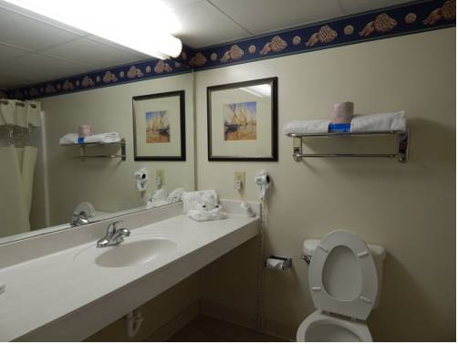 Imagen de la habitación del Hotel Paradise Plaza Inn. Foto 7