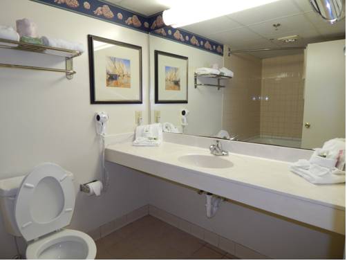 Imagen de la habitación del Hotel Paradise Plaza Inn. Foto 8