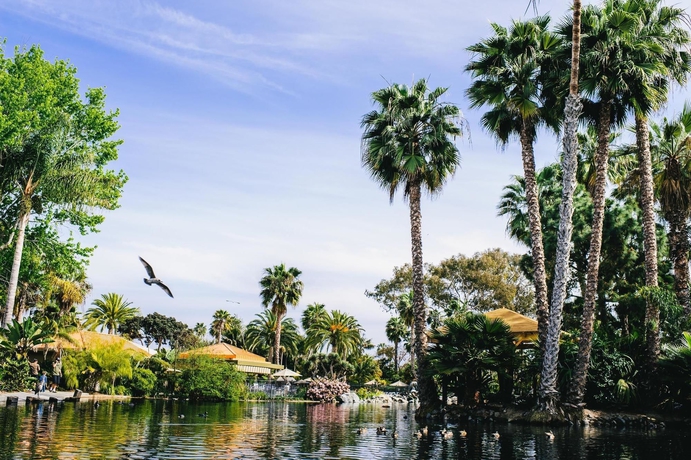 Imagen de los exteriores del Hotel Paradise Point Resort and Spa. Foto 10