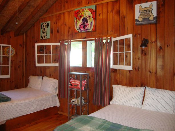 Imagen de la habitación del Hotel Paradise Resort and Cabins. Foto 4