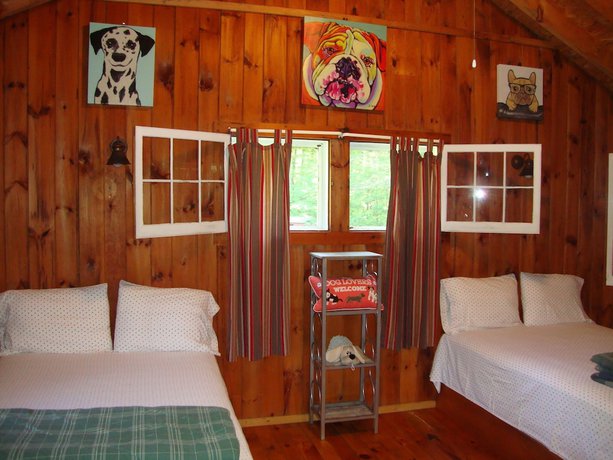 Imagen de la habitación del Hotel Paradise Resort and Cabins. Foto 6