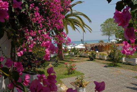 Imagen general del Hotel Paradise Zth. Foto 3