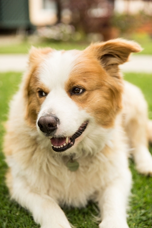 Imagen de los exteriores del Hotel Paradise and Resort. Foto 11