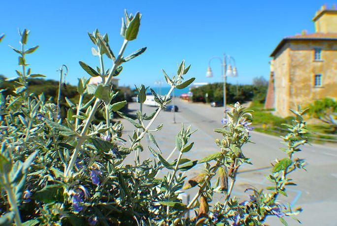 Imagen general del Hotel Paradiso Verde. Foto 2