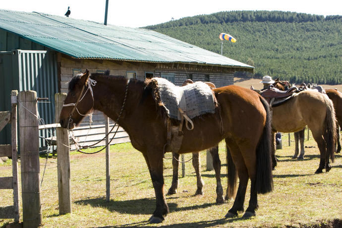 Imagen general del Hotel Parador Cambar&aacute; Do Sul. Foto 11
