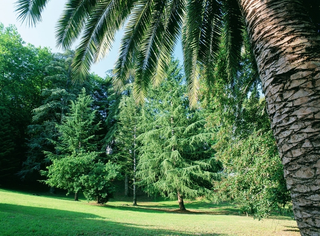 Imagen de los exteriores del Hotel Parador De Limpias. Foto 12