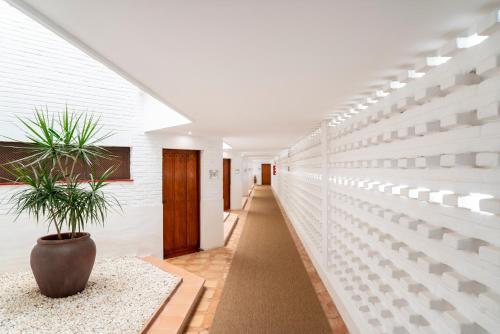 Imagen de los interiores del Hotel Parador De Moj&aacute;car. Foto 17