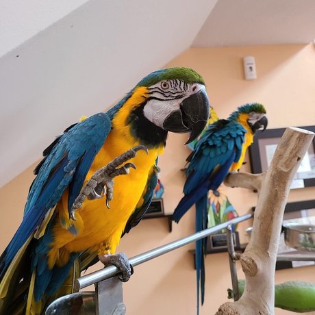 Imagen de los interiores del Hotel Parador Palmas de Luc&iacute;a. Foto 12