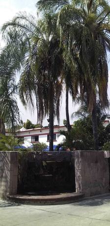 Imagen de los interiores del Hotel Parador del Rey. Foto 12