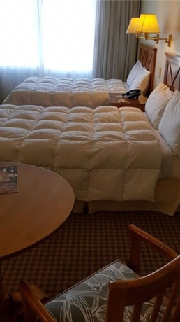 Imagen de la habitación del Hotel Paradores Austral Bahia Blanca. Foto 14