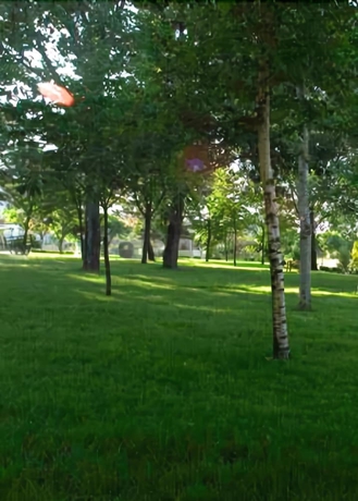 Imagen de los exteriores del Hotel Paraíso, Oliveira do Bairro. Foto 10