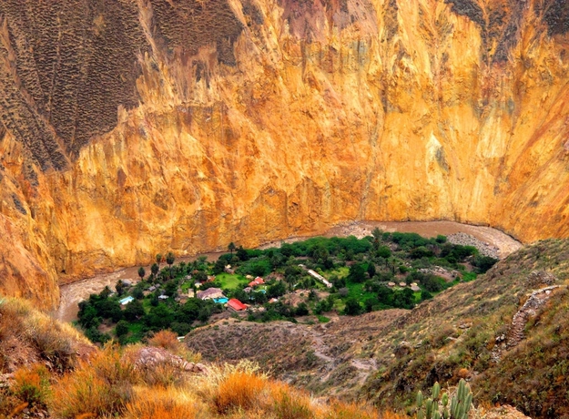 Imagen general del Hotel Paraiso Las Palmeras Lodge. Foto 2