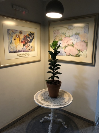 Imagen de los interiores del Hotel Paraiso Ponte Nova. Foto 12