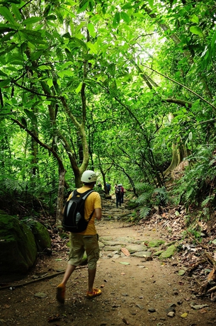 Imagen de los exteriores del Hotel Paraiso Rainforest and Beach. Foto 8