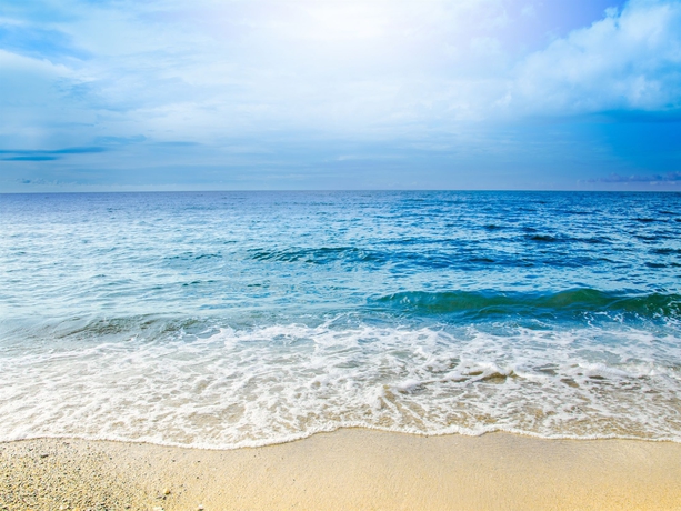 Imagen de los exteriores del Hotel Paraiso Rainforest and Beach. Foto 9