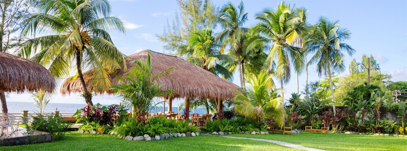 Imagen general del Hotel Paraiso Rainforest and Beach. Foto 1