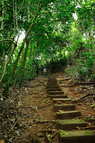 Imagen de los exteriores del Hotel Paraiso Rainforest and Beach. Foto 12