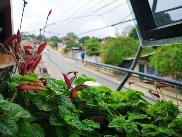 Imagen general del Hotel Paraiso Wasi. Foto 2