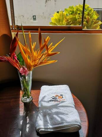 Imagen de la habitación del Hotel Paraiso Wasi. Foto 9