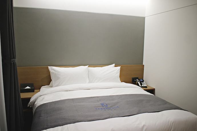 Imagen de la habitación del Hotel Parangvue. Foto 9