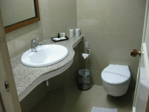 Imagen general del Hotel Paras Mahal. Foto 12